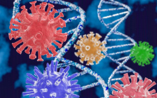 Устойчив к вакцинам и опаснее «Дельты»: чем грозит появление нового штамма коронавируса