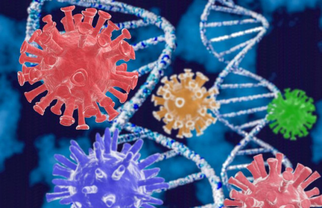 Устойчив к вакцинам и опаснее «Дельты»: чем грозит появление нового штамма коронавируса