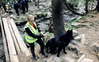 У Карпатах другий день шукають малолітнього хлопчика: поліція залучила квадрокоптер і собак