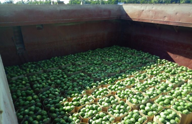 Когда в Киев придет баржа с 350 тоннами херсонских арбузов