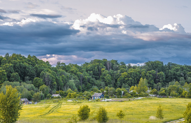 Люди, которые живут в зеленых зонах, реже заражаются коронавирусом