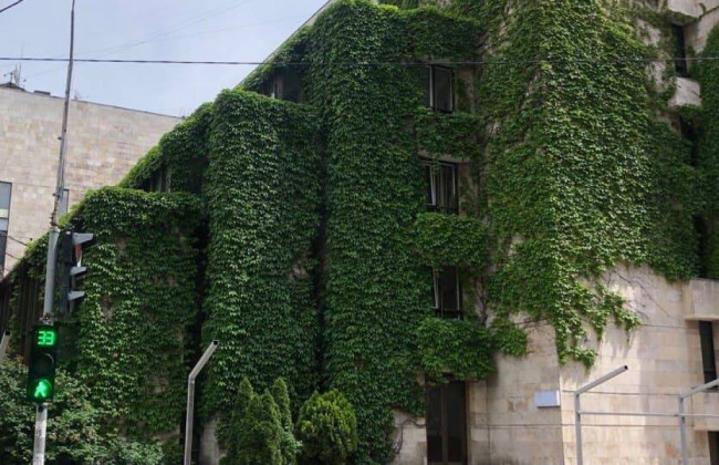 Реконструкція «Квіти-України»: до ОАСК надійшов позов та заява про його забезпечення