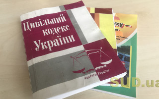 Справи про визнання недійсним свідоцтва про право власності: ВП ВС висловилася щодо пріоритетності норм ЦК