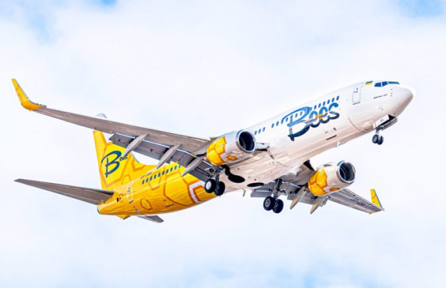 У лоукостера Bees Airline появится онлайн-регистрация
