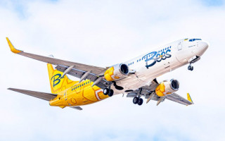 У лоукостера Bees Airline появится онлайн-регистрация
