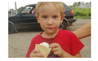 Собирал ягоды с родителями и пропал: на Сумщине в лесу разыскивают 6-летнего мальчика, фото