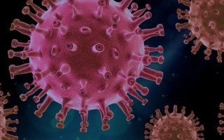 В ВОЗ оценили риск смерти от «Дельты»