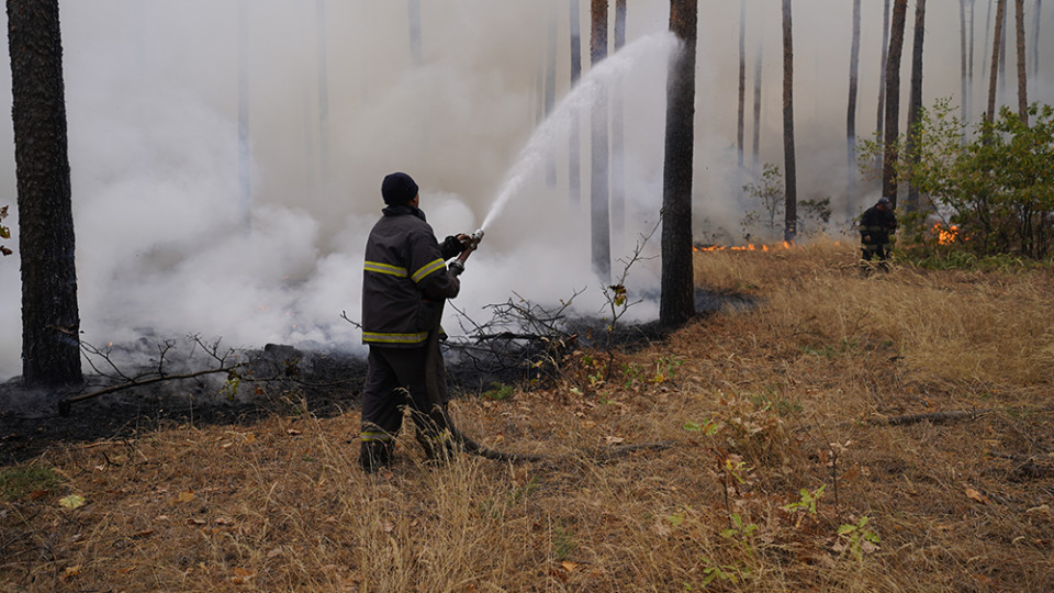В Украине четыре области под угрозой пожарной опасности