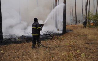 В Украине четыре области под угрозой пожарной опасности