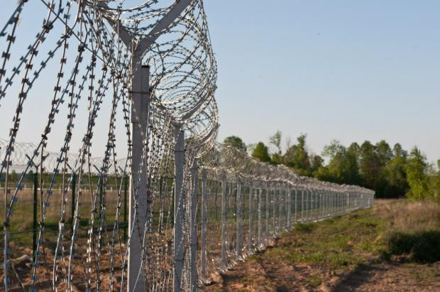 Польша построит двухметровый забор на границе с Беларусью из-за мигрантов