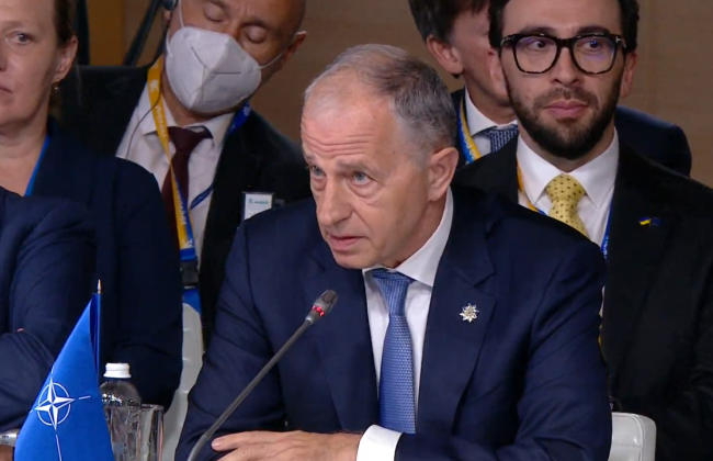 «Украина и Грузия станут членами НАТО», — и. о. Генсека НАТО