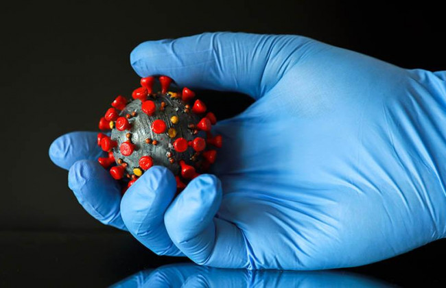 Нашли антитела, которые могут бороться со всем штаммами ковида