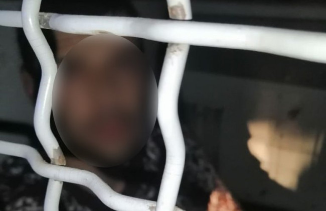 Под Киевом грабитель залез в дом и порезал 8-летного мальчика и сломал нос его сестре