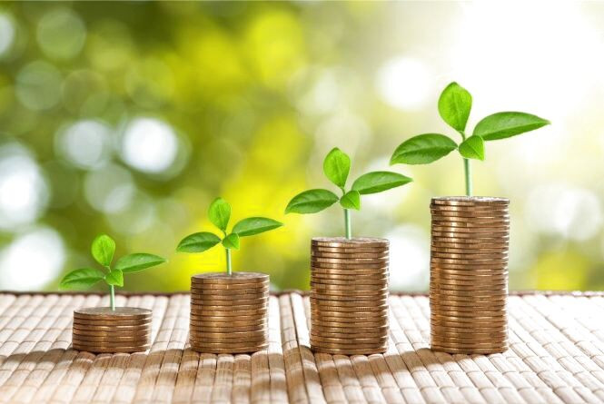В Украине продадут ряд убыточных аграрных предприятий: что известно