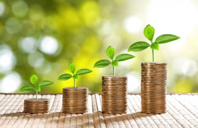 В Украине продадут ряд убыточных аграрных предприятий: что известно