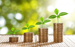 В Украине продадут ряд убыточных аграрных предприятий: что известно