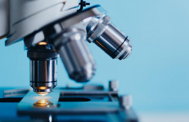 Ученые определили ключевой механизм смертности от COVID-19