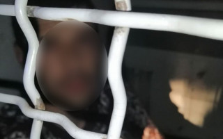 Под Киевом грабитель залез в дом и порезал 8-летного мальчика и сломал нос его сестре