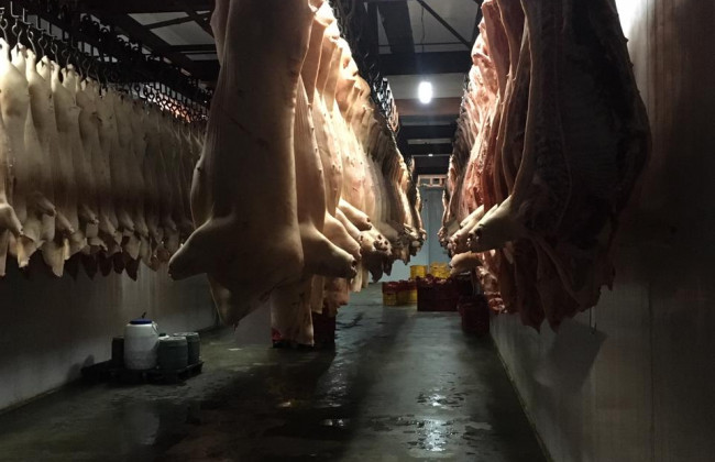 Правоохоронці викрили схему постачання неякісної їжі для військових: підприємцю оголосили підозру