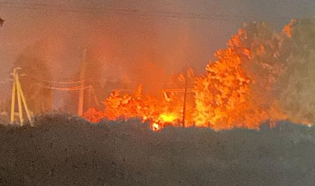 Вооруженный киевлянин в бронежилете поджог фермерское хозяйство: убегал на самокате