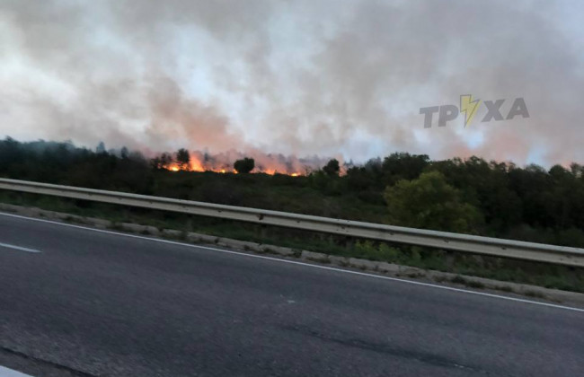 В Харькове масштабный пожар, видео