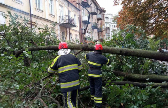 У Києві дерева впали на автомобілі