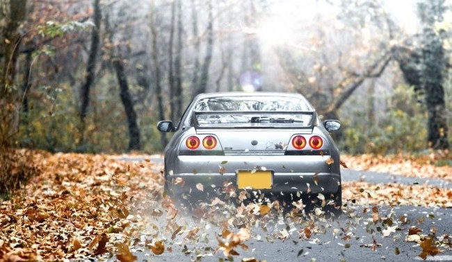 Как подготовить машину к осени: советы экспертов