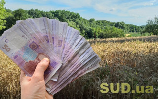 Ринок землі в Україні: кількість угод перевищила 10 тисяч