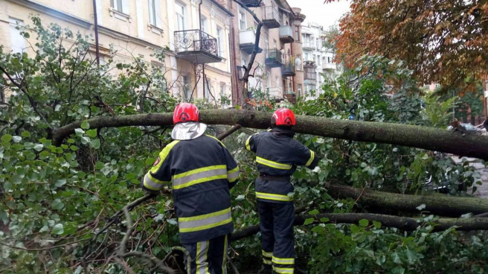 У Києві дерева впали на автомобілі