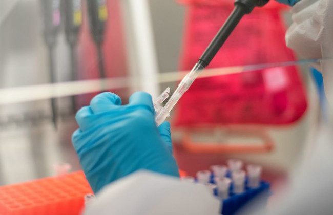 Обнаружен новый штамм COVID: он заразнее и устойчив к иммунитету