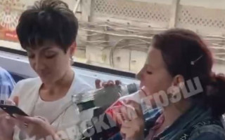 Киевлянка распивала водку прямо в вагоне метро, видео