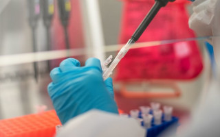 Обнаружен новый штамм COVID: он заразнее и устойчив к иммунитету