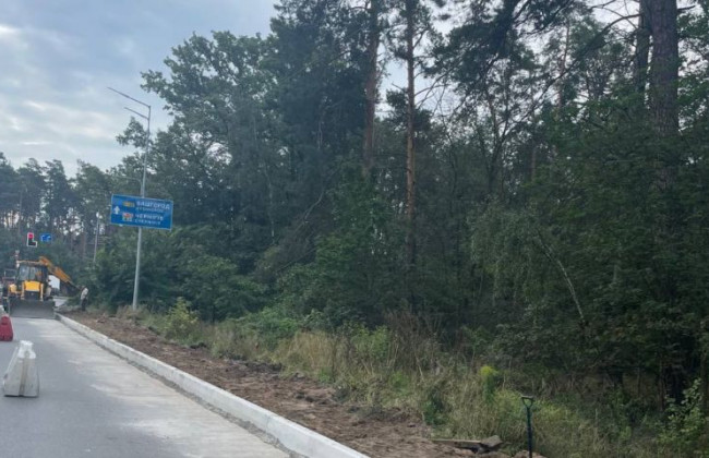 «Где находится мозг у столичных дорожников?»