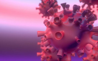 Ученые назвали опасный период заражения коронавирусом