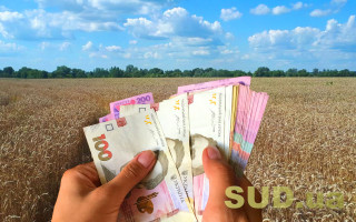За які земельні ділянки не треба платити податок: відповідь податкової