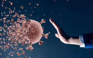 Чем отличаются антитела у переболевших коронавирусом и вакцинированных