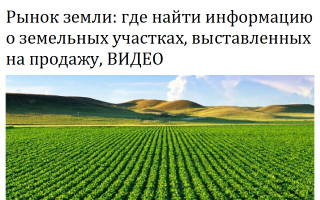 Рынок земли: где найти информацию о земельных участках, выставленных на продажу, ВИДЕО