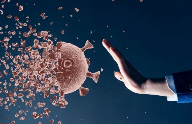 Чем отличаются антитела у переболевших коронавирусом и вакцинированных