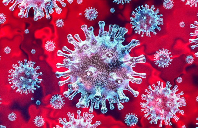 Ученые нашли антитела, способные противостоять всем штаммам коронавируса