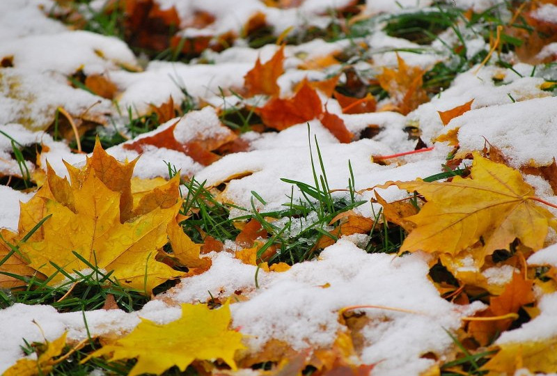 Первый снег может выпасть уже в октябре: что говорят метеорологи