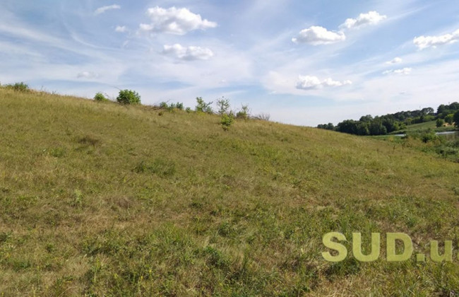 Перехід права власності: як змінити відомості про орендодавця на нерухоме майно