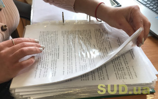 Хто не може бути декларантом: деталі ДПС