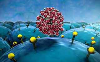 Ученые озвучили четыре сценария развития COVID-пандемии