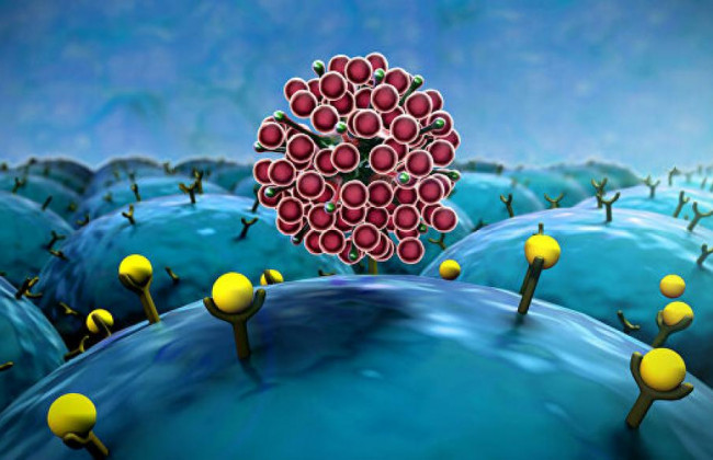 Ученые озвучили четыре сценария развития COVID-пандемии