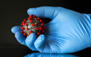 Кто может обладать супериммунитетом от коронавируса