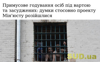 Примусове годування осіб під вартою та засуджених: думки стосовно проекту Мін'юсту розійшлися