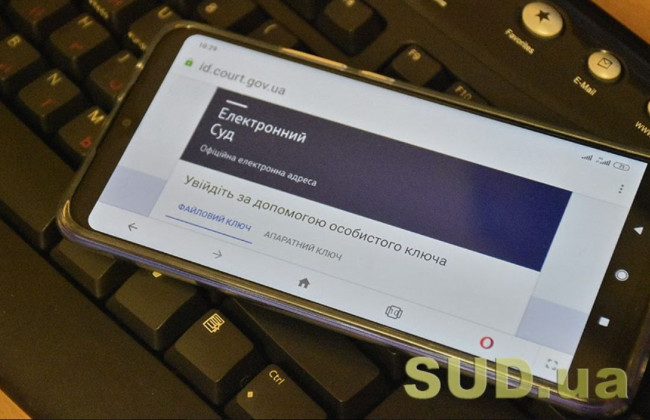 Експлуатація Електронного суду та Електронного кабінету: проведуть навчальний семінар