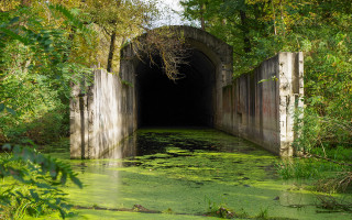 Забудова острова Жуків: громаді Києва повернуто землі заповідника