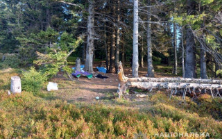 Могли бути снаряди часів Першої світової війни: названа можлива причина вибуху в Карпатах