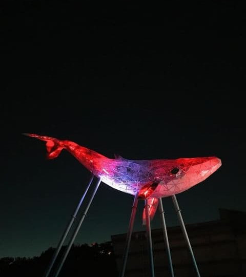 В Киеве появилась экоскульптура кита: реагирует на загрязнение воздуха